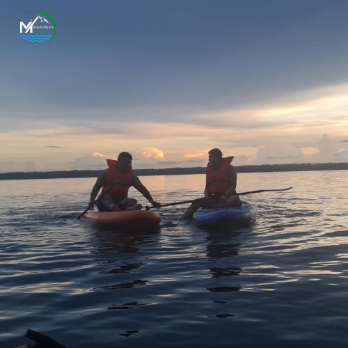 Paddler